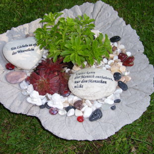 Rhabarberblätter aus Beton
